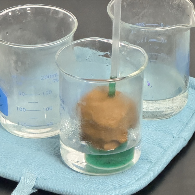 Thermometer lab at Valley Middle School 