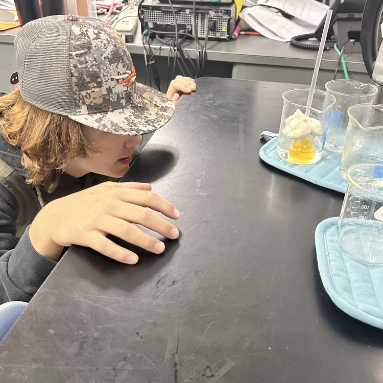 Thermometer lab at Valley Middle School 