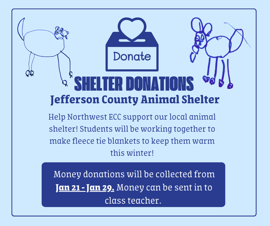 animal shelter donations