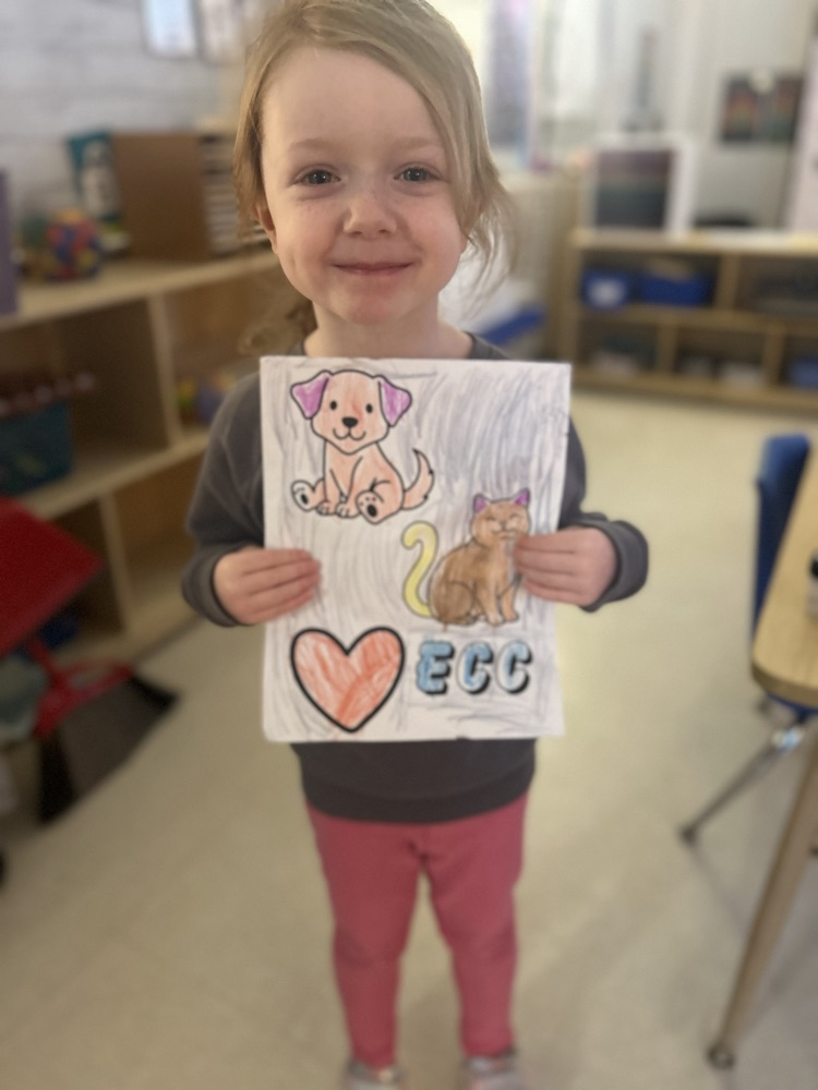 animal shelter donation