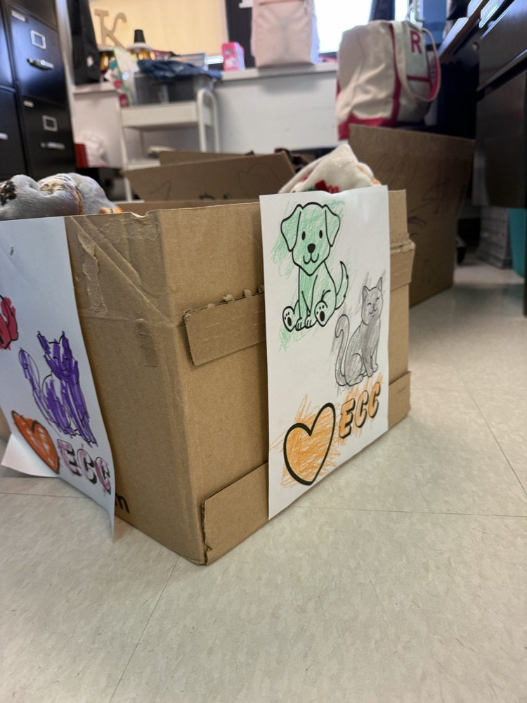 animal shelter donation