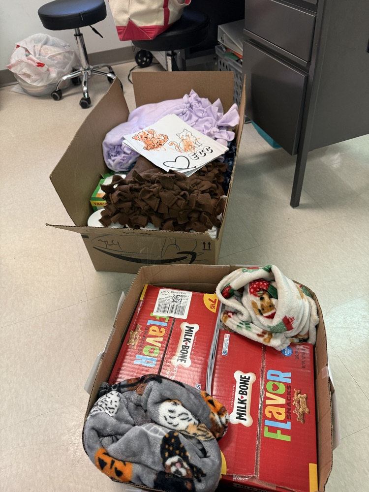 animal shelter donation