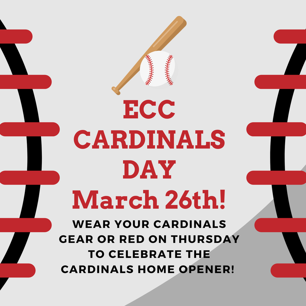 cardinals spirit day