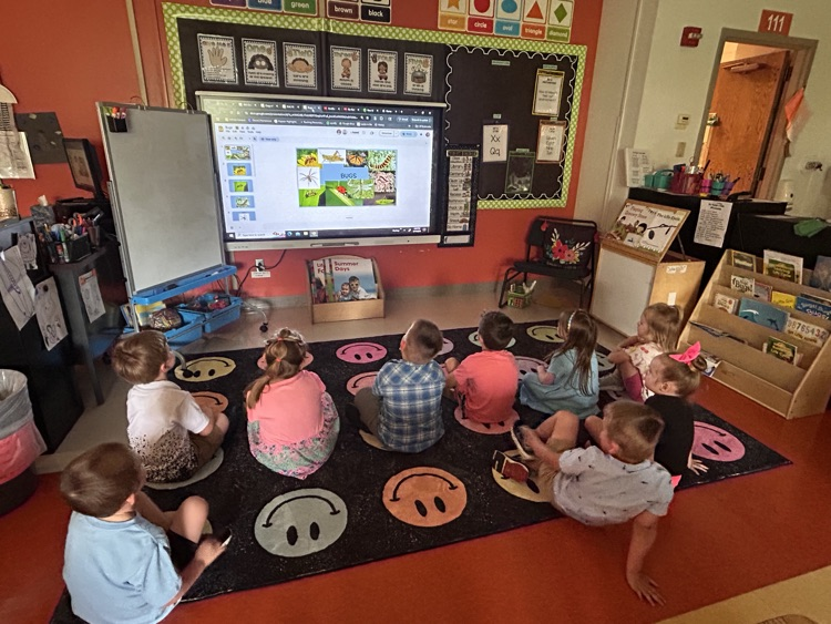 learning about insects 