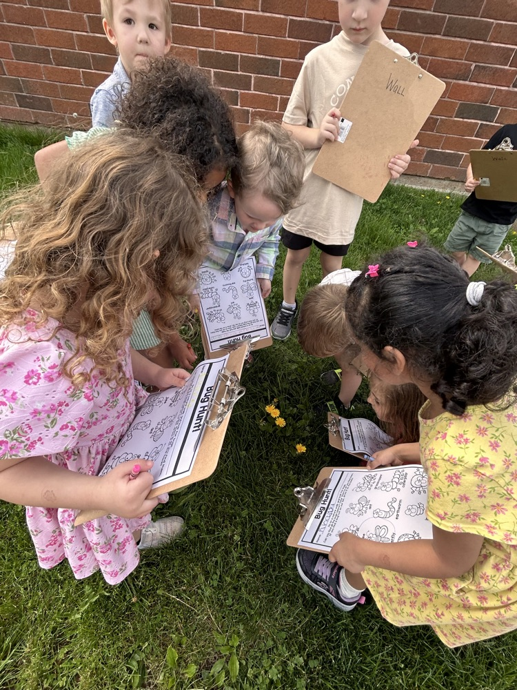 bug hunt