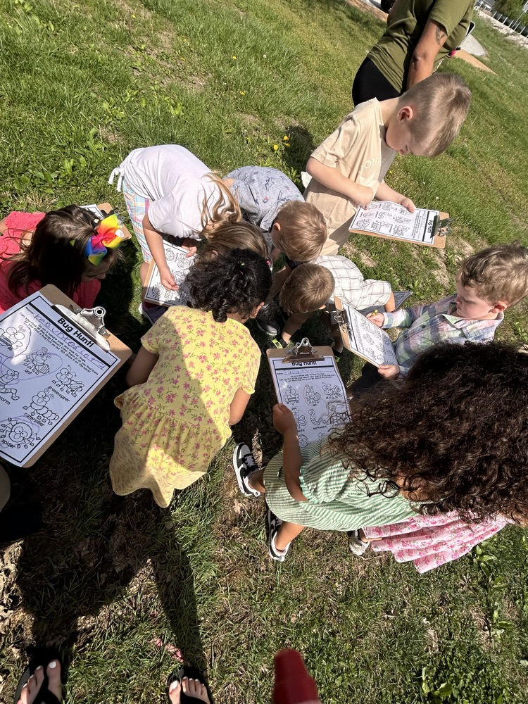 bug hunt