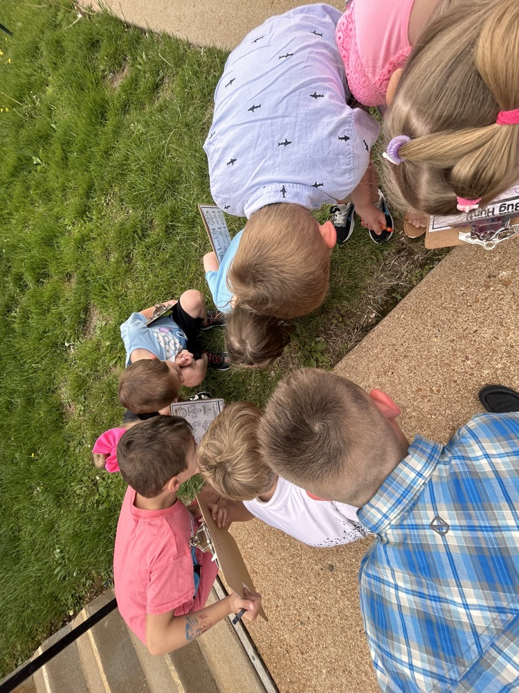 bug hunt
