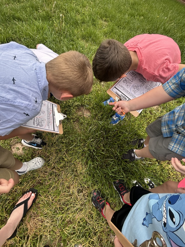 bug hunt