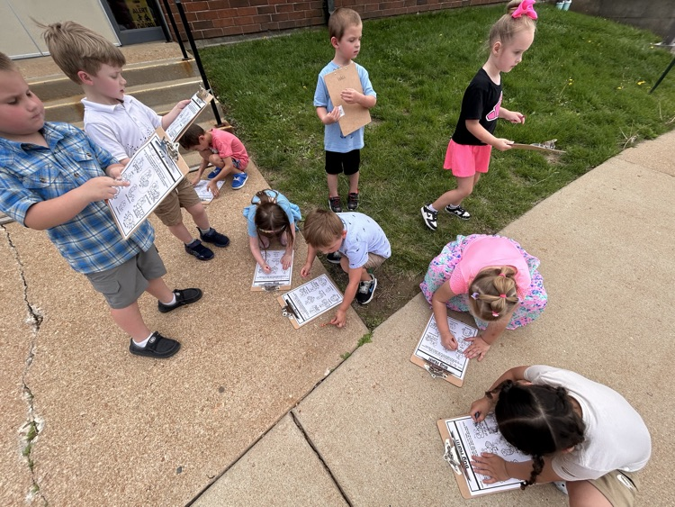 bug hunt