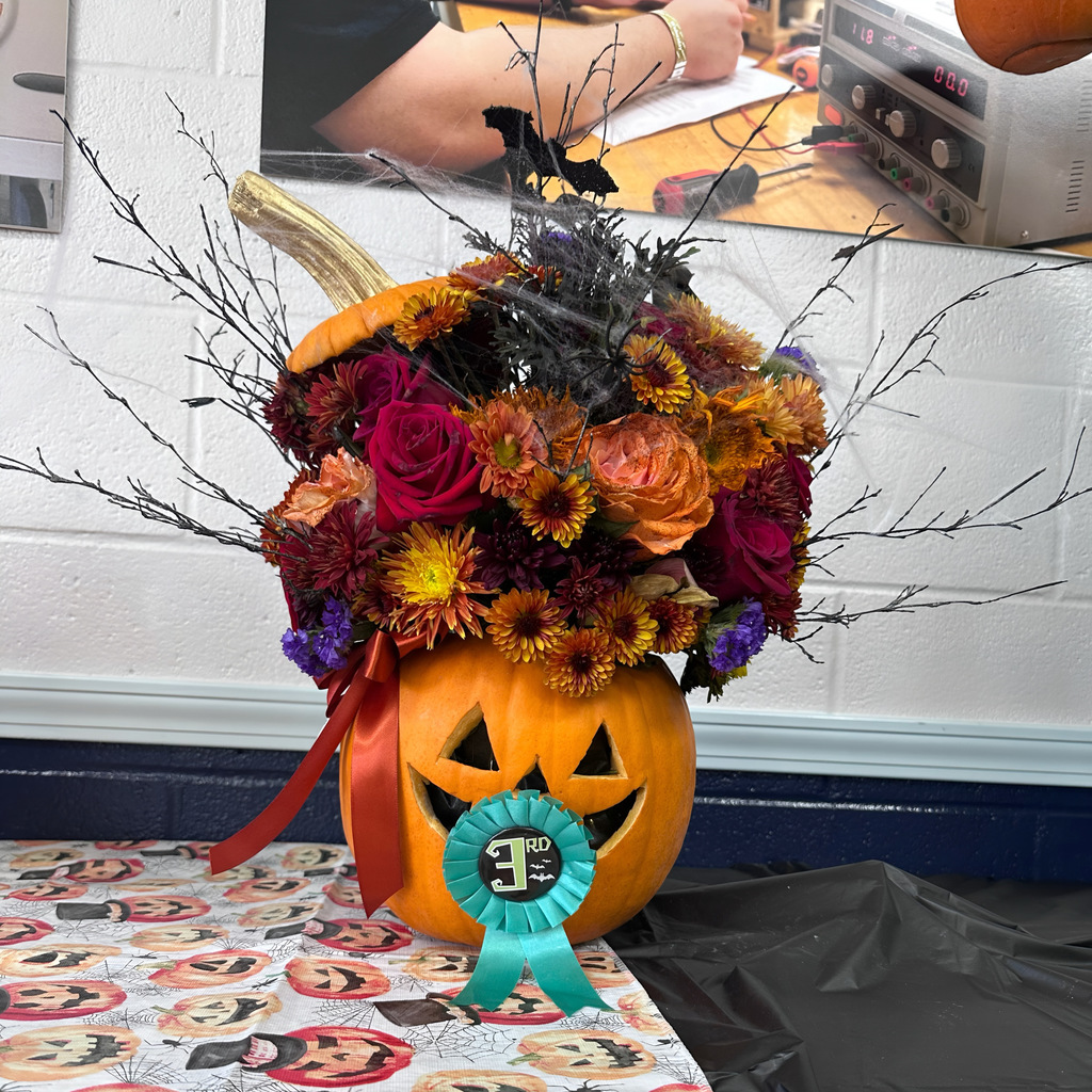 halloween decorations and costumes