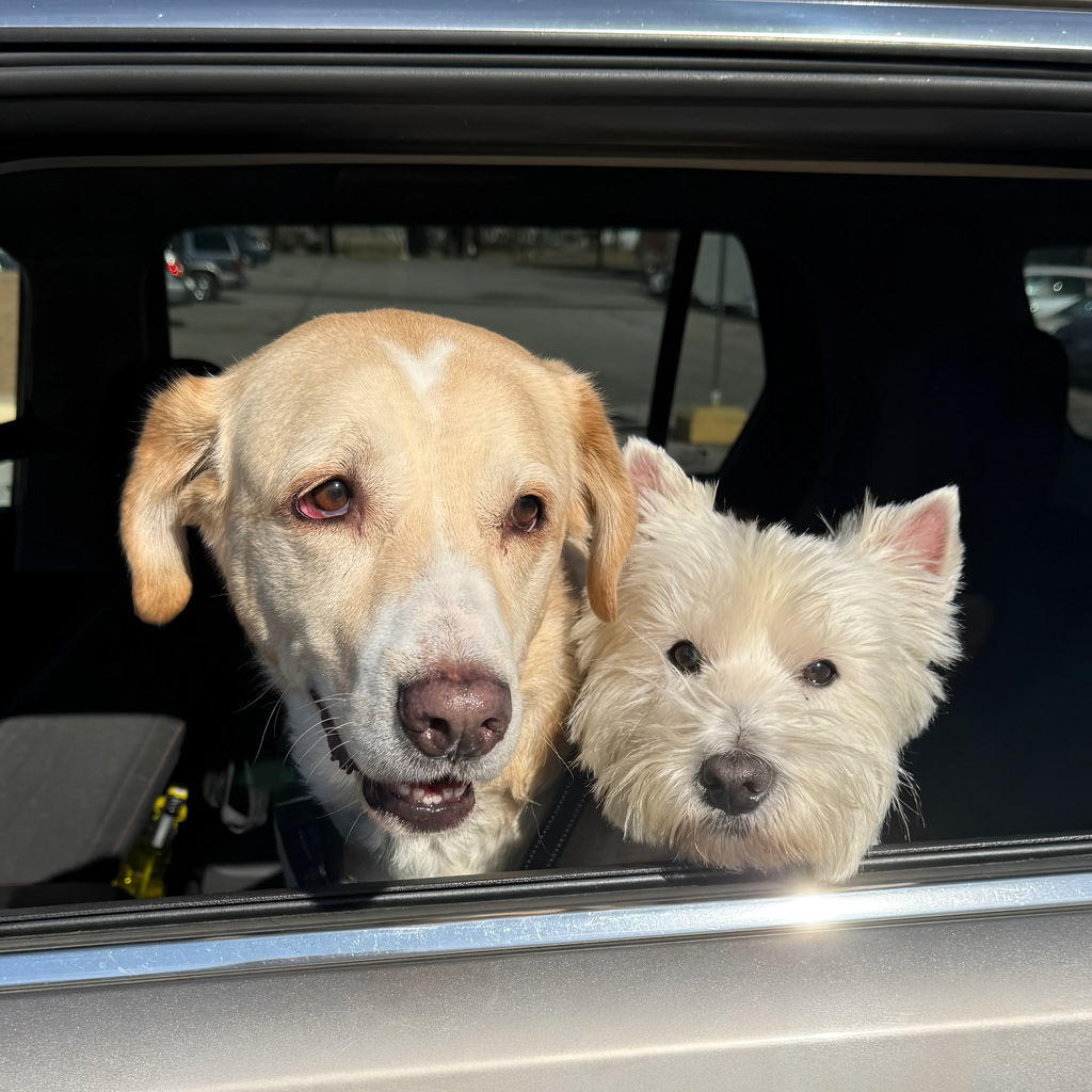 Pet Expo 2025 in NWTI's parking lot