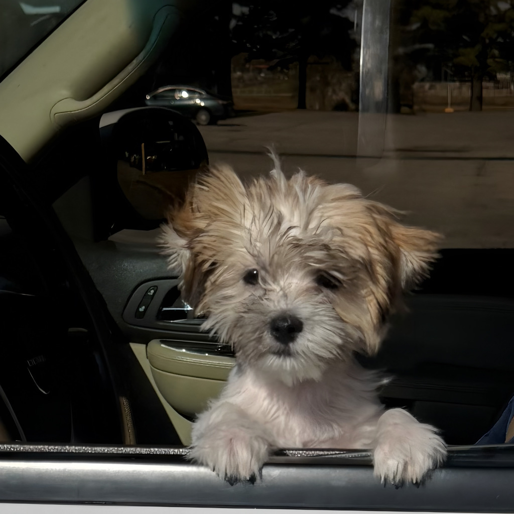 Pet Expo 2025 in NWTI's parking lot