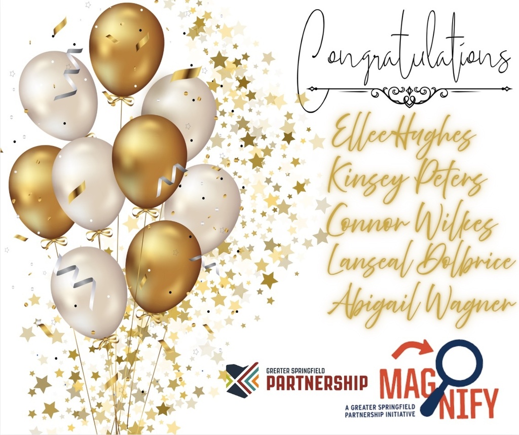 graphic image of magnify internship program