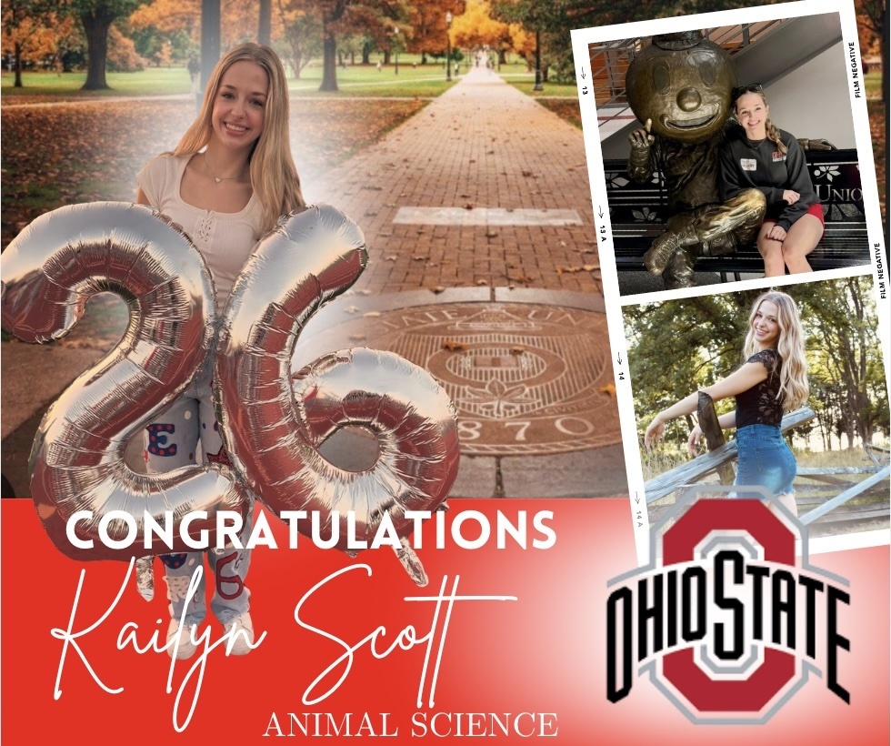 graphic image of senior spotlight