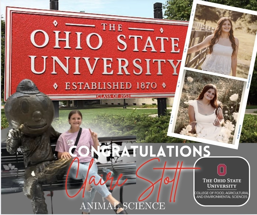 graphic image of senior spotlight