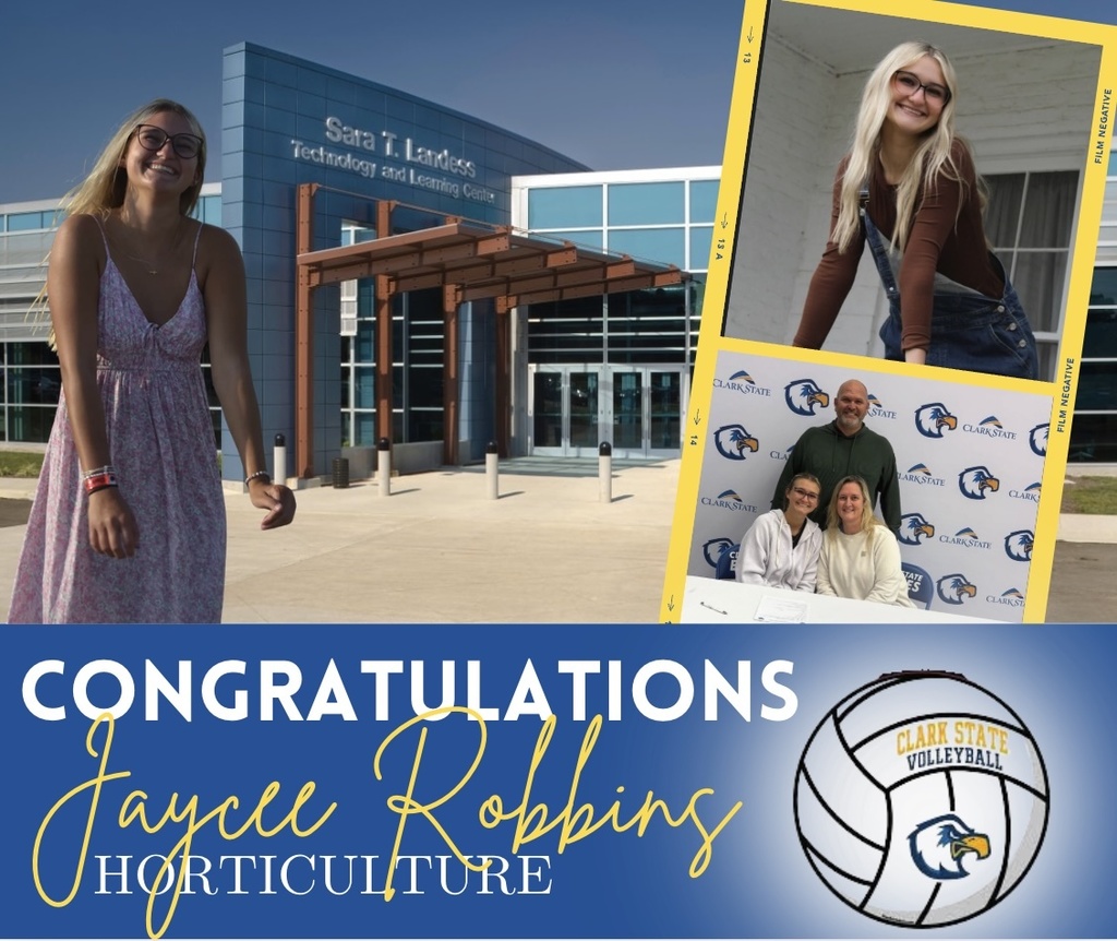 graphic image of senior spotlight