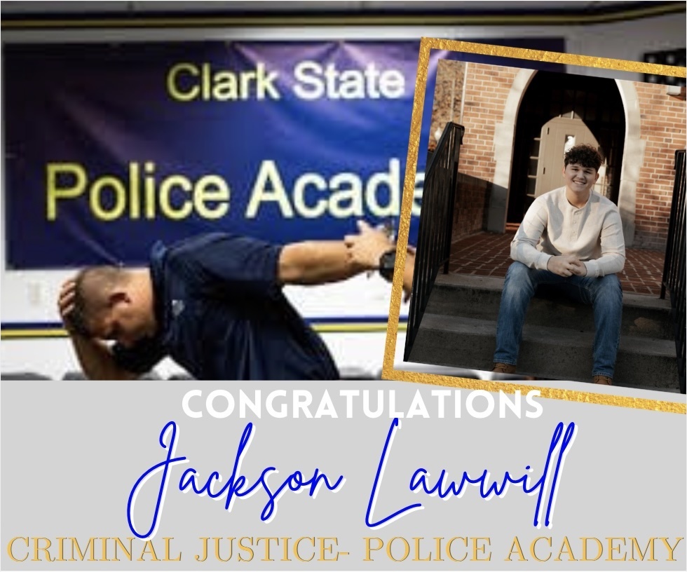 graphic image of senior spotlight