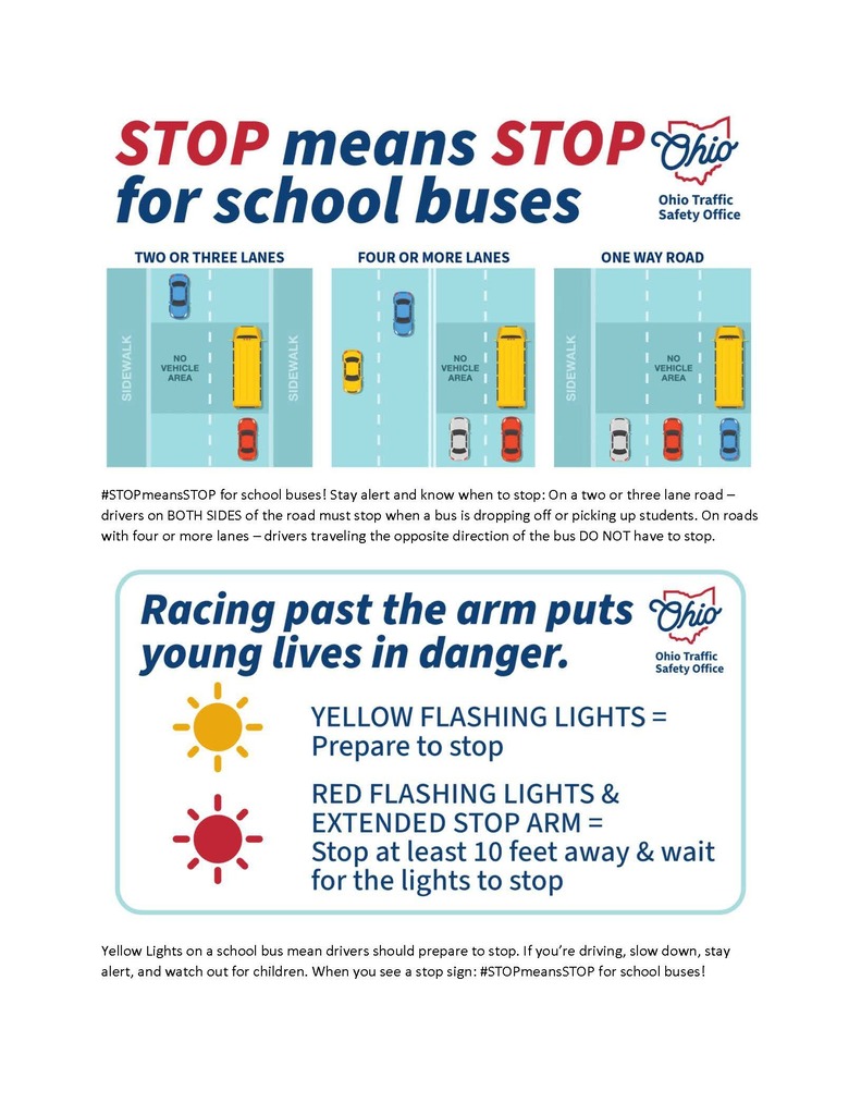 graphic image of stop means stop for school buses