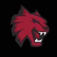 NW Girls Basketball Logo