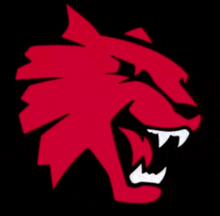 Red Wildcat Mascot With Black Backdrop