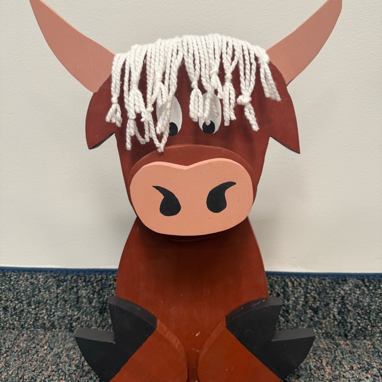 highland cow project