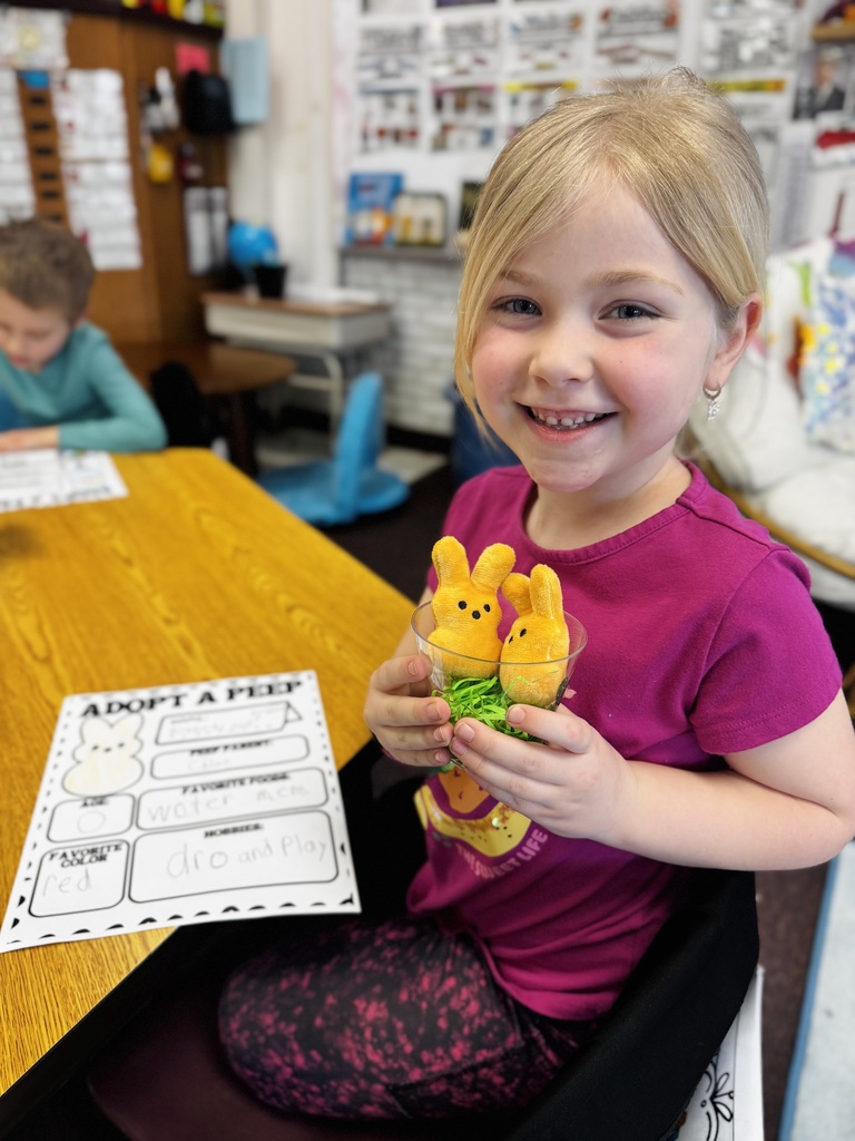 Peep Day in Kindergarten at Springfield Elementary