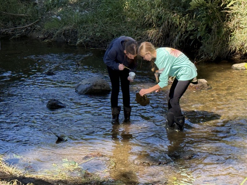 Middle school students exploring creek at Albion Boro Park