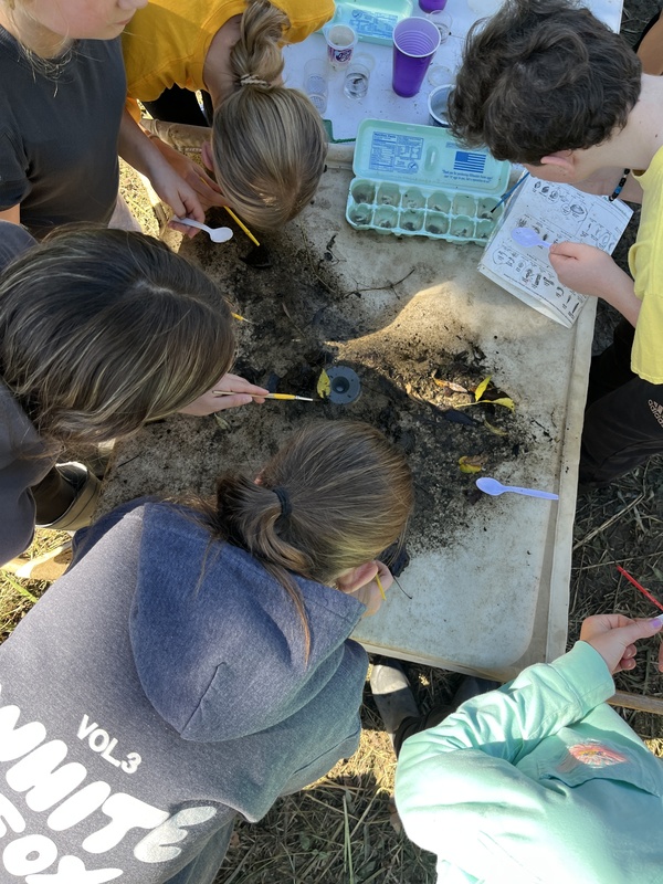 Middle school students exploring creek at Albion Boro Park