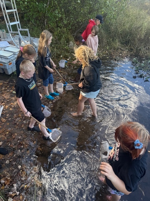 Searching for macroinvertebrates!