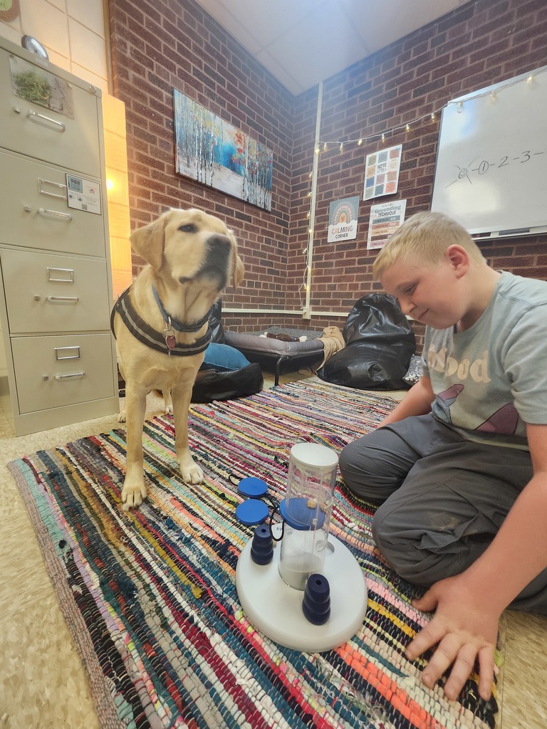 boy and dog on floor