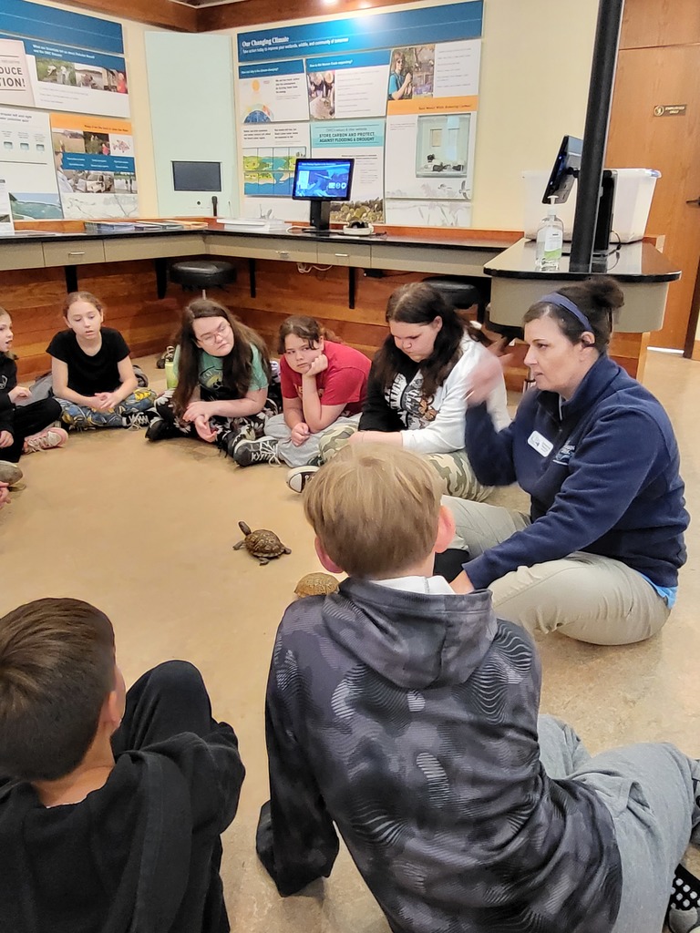 kids in a circle around a turtle