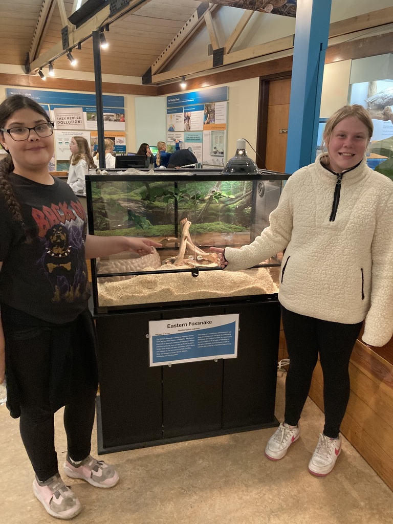 kids pointing at an aquarium
