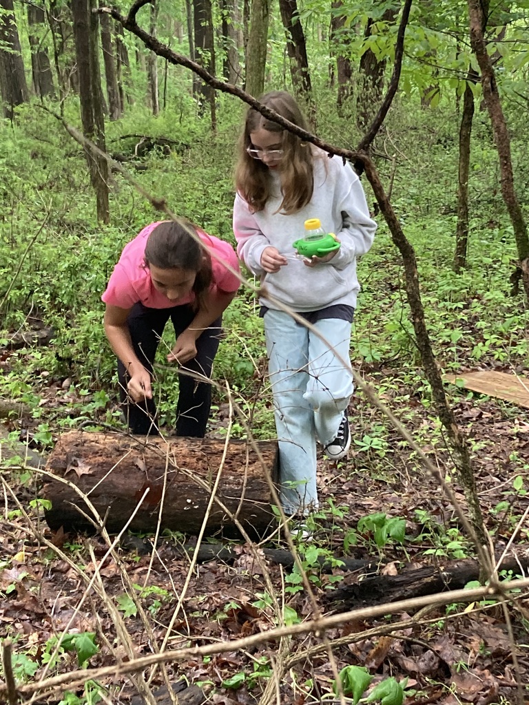 girls walking in the woods