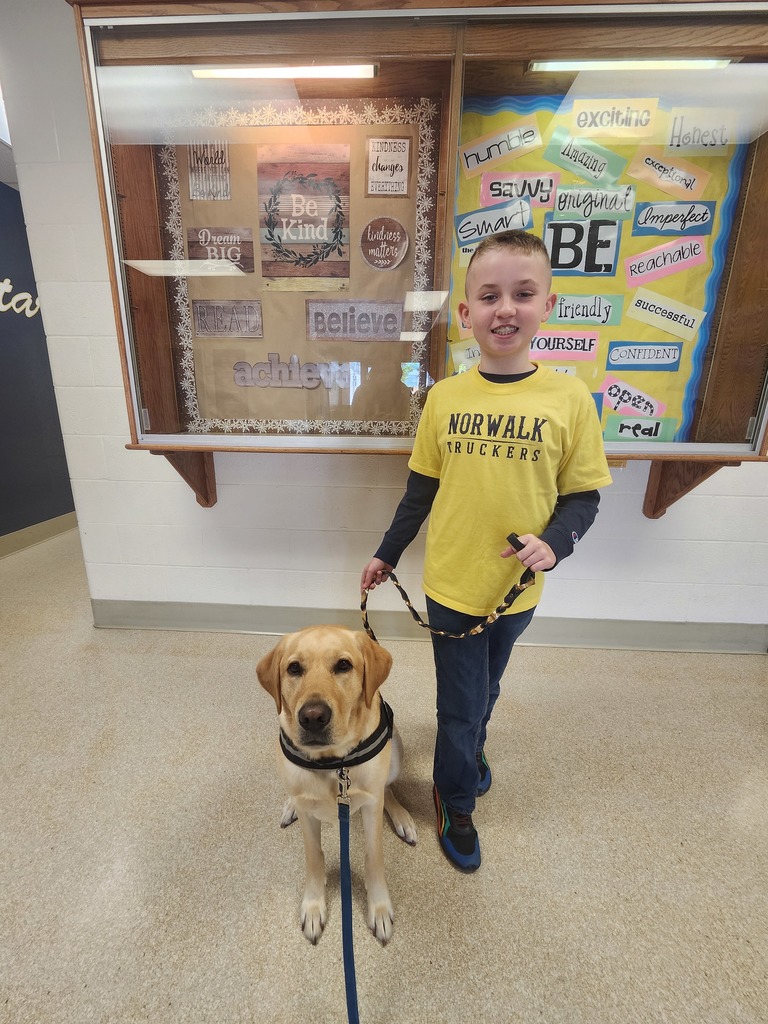 boy with dog