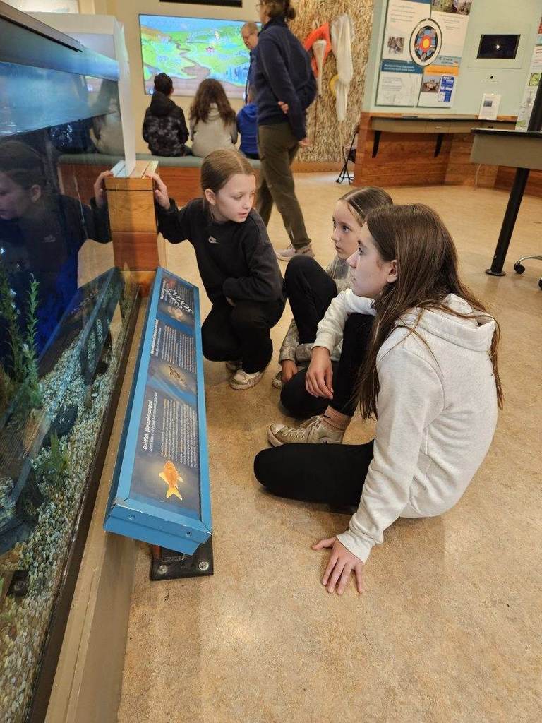 kids looking in an aquarium 