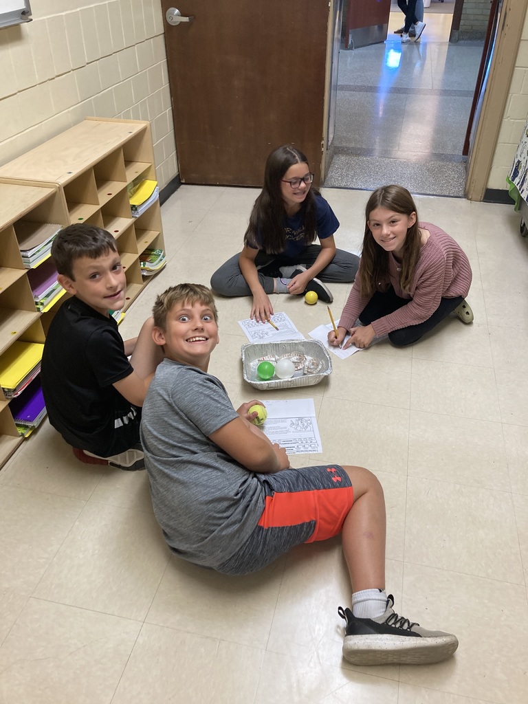 The 5th Grade Blue Scientists practiced their inquiry skills in science class. They explored like real scientists by observing objects closely, classifying them into groups, ordering them by different properties, and comparing the objects to notice similarities and differences.