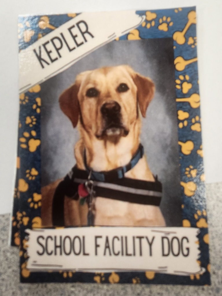 The 6th grade students at League have been doing great with being respectful, responsible, safe and being a great leader. One played fetch with me, another got their picture with me, and another got to have my very first Trading Card. I do think it is pretty fabulous to be able to do all of this with amazing students and I look forward to more fun! Work hard, be responsible and respectful. Stay safe and be a leader! ~ Kepler, School Facility Dog