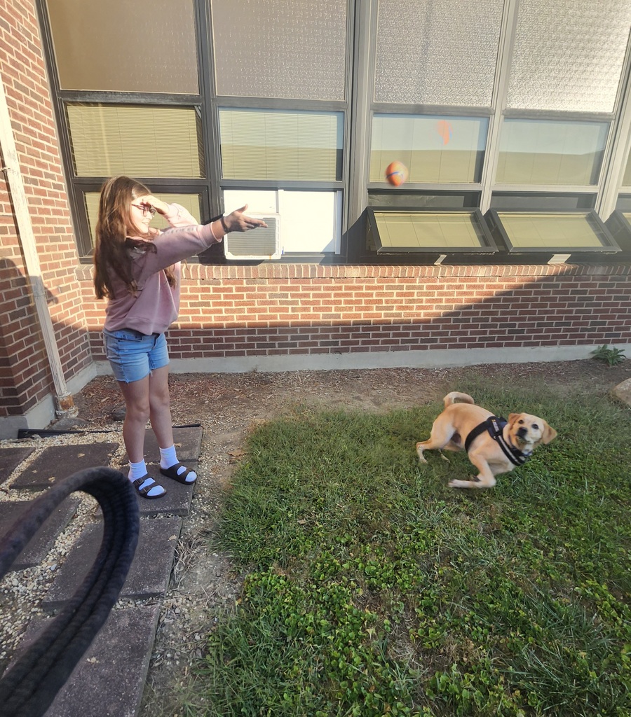 The 6th grade students at League have been doing great with being respectful, responsible, safe and being a great leader. One played fetch with me, another got their picture with me, and another got to have my very first Trading Card. I do think it is pretty fabulous to be able to do all of this with amazing students and I look forward to more fun! Work hard, be responsible and respectful. Stay safe and be a leader! ~ Kepler, School Facility Dog