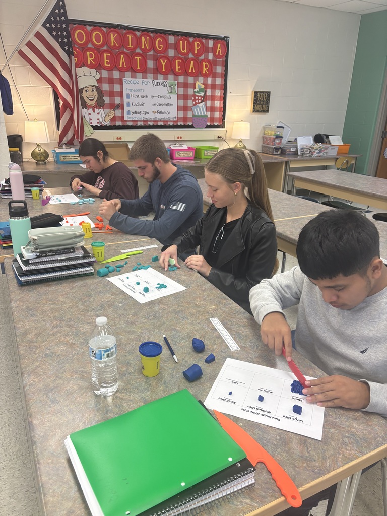 Students in Mrs. Schlotterers foods classes practiced knife skills on play-dough. Afterwards, they put their knife skills to the test by cutting fruit for fruit salsa and they also made cinnamon tortilla chips.