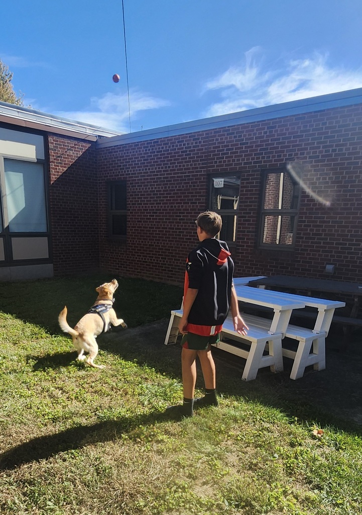 “October was a busy month for 6th grade. They had Red Ribbon week with an assembly I was a part of and tons of red tickets for being so positive. That means I also get some special times with students. We played fetch, tic-tac-toe, walked through the halls, and got my beautiful face on some pictures for students to take home. We have started November out doing great things and I see a lot of smiling faces too with students and staff. That really makes my day. I sure am glad to be a part of Norwalk!” ~ Kepler, School Facility Dog