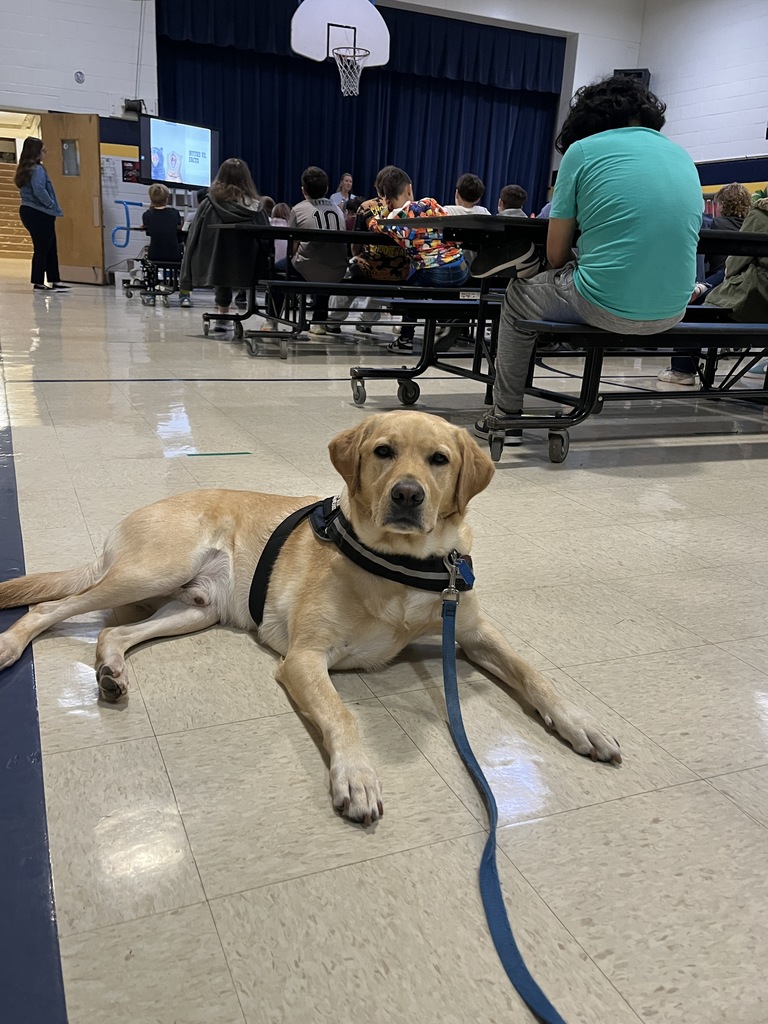 “October was a busy month for 6th grade. They had Red Ribbon week with an assembly I was a part of and tons of red tickets for being so positive. That means I also get some special times with students. We played fetch, tic-tac-toe, walked through the halls, and got my beautiful face on some pictures for students to take home. We have started November out doing great things and I see a lot of smiling faces too with students and staff. That really makes my day. I sure am glad to be a part of Norwalk!” ~ Kepler, School Facility Dog