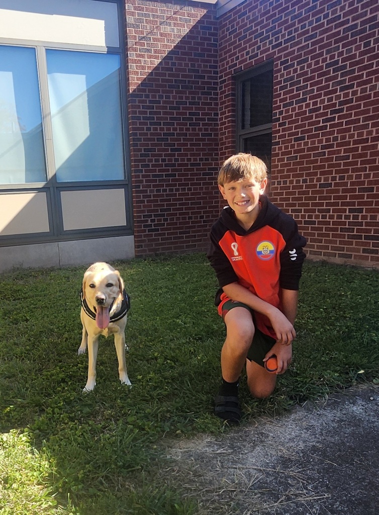 "Did I mention I love to play fetch in the courtyard?" ~ Kepler, School Facility Dog
