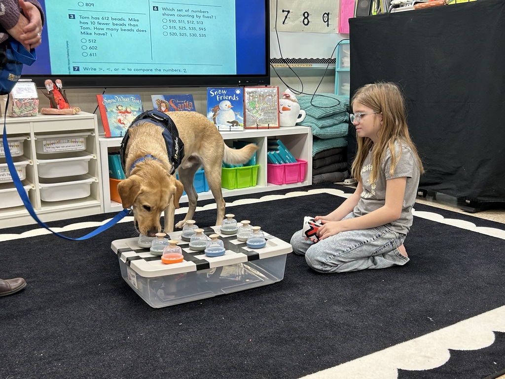 🎉 Student Reward Spotlight at Pleasant Elementary 🎉  In Mrs. Acierto’s and Mrs. Harps’ classroom, students are working hard to earn stickers through our classroom reward system. Once a student fills their sticker chart, they get to spin a prize wheel for a special reward!  Our first student recently earned the chance to play tic-tac-toe with our school facility dog, Kepler 🐾. The excitement was contagious, and students loved seeing Kepler in action. It was a wonderful moment celebrating positive behavior and motivation!