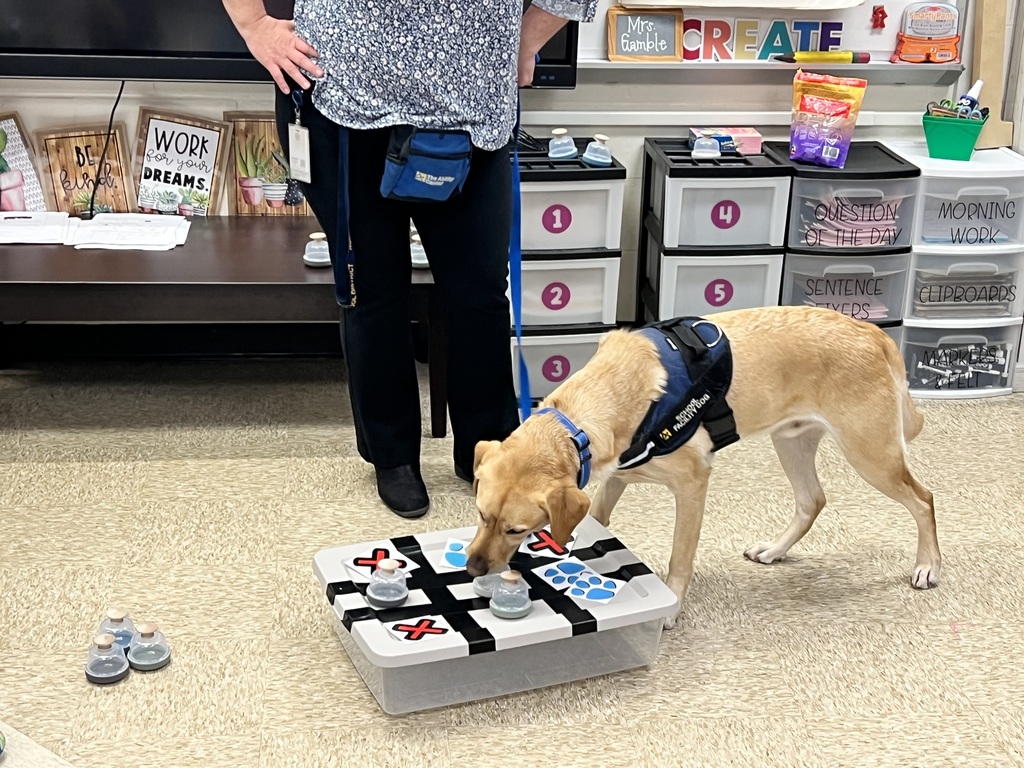 Mrs. Gamble’s class earned a whole class reward! Kepler came and played tic-tac-toe with us and stayed for a special story!