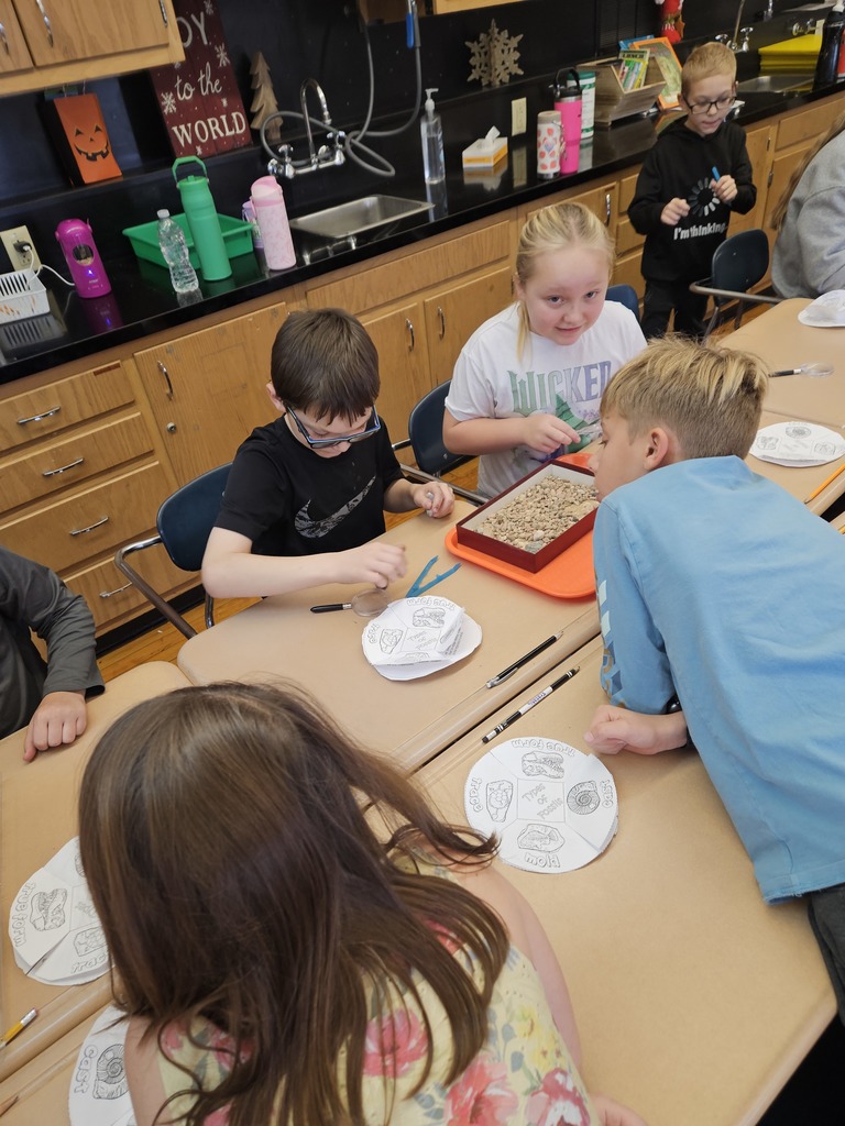 Mrs.Dellisant's 4th grade science students became paleontologists while learning the differences between types of fossils.