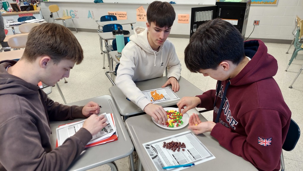 CCP Stats used Skittles to practice using different sampling techniques