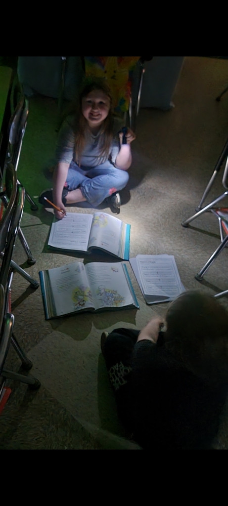 Students in Mrs. Kopfstein's 2nd grade class enjoyed reading, "Mr. Putter & Tabby See the Stars" under the stars in their classroom. They used flashlights as they read and completed a sequencing paper. So much fun!