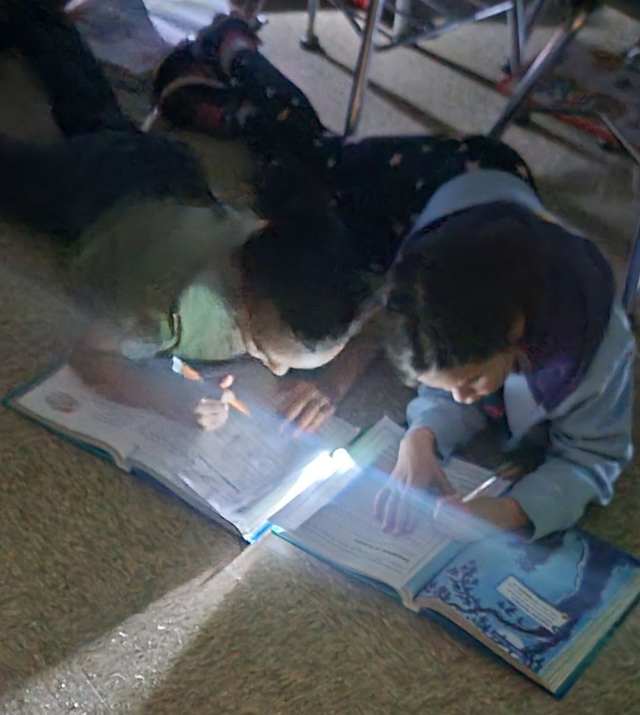 Students in Mrs. Kopfstein's 2nd grade class enjoyed reading, "Mr. Putter & Tabby See the Stars" under the stars in their classroom. They used flashlights as they read and completed a sequencing paper. So much fun!
