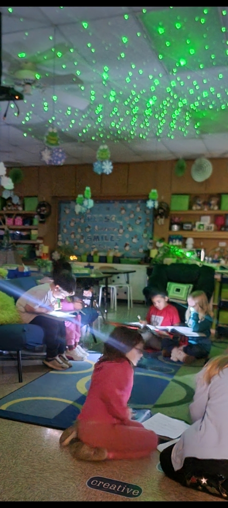 Students in Mrs. Kopfstein's 2nd grade class enjoyed reading, "Mr. Putter & Tabby See the Stars" under the stars in their classroom. They used flashlights as they read and completed a sequencing paper. So much fun!