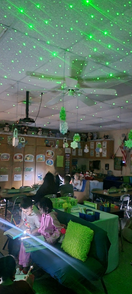 Students in Mrs. Kopfstein's 2nd grade class enjoyed reading, "Mr. Putter & Tabby See the Stars" under the stars in their classroom. They used flashlights as they read and completed a sequencing paper. So much fun!